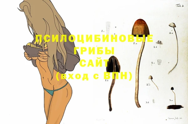 мдма Вяземский