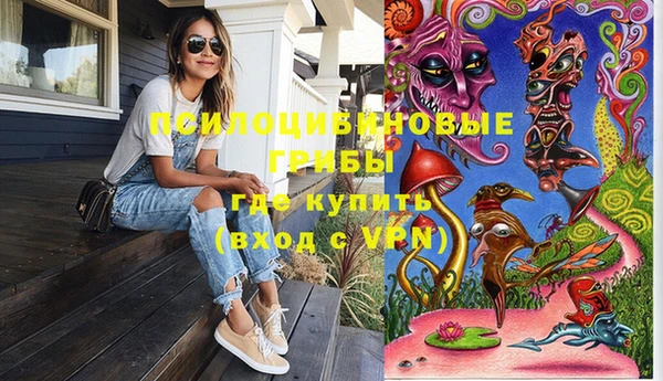 крисы Вязники