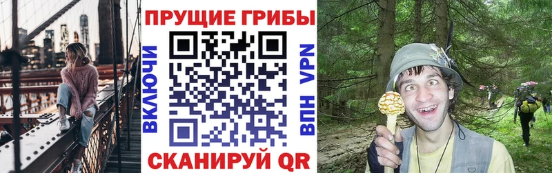 Псилоцибиновые грибы Cubensis  Вихоревка 